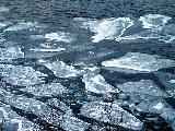 Стая льдин у берега