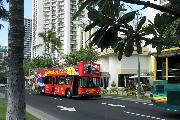 Прогулочный автобус AlohaBus